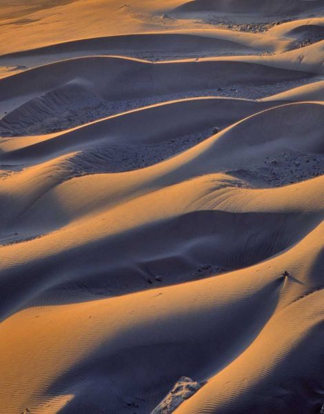 Oregon, Cape Sebastian Close-up of sand dunes